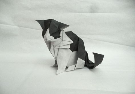 25 Purr-fect Origami Cats, Fur Real, I'm not Kitten... Origami Cat Instructions, Cat Origami, Cat Money, Tutorial Origami, Origami Ball, Cute Origami, Origami Dragon, Origami For Beginners, Origami Fish