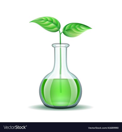 Plant Breeding, Genetically Modified, Biotechnology, Diy Wall, Diy Wall Decor, Transparent Png, Sprouts, Png Images, White Background