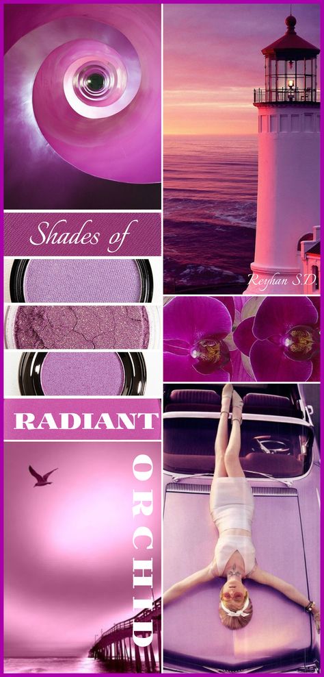 '' Radiant Orchid '' by Reyhan S.D. Orchid Mood Board, Color Moodboard, Desi Design, Orchid Color, Mood Colors, Radiant Orchid, Purple Love, All Things Purple, Colour Board