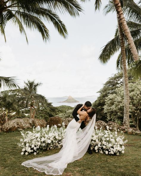 Happy 1 Year Anniversary, Wedding Welcome Party, Alter Flowers, Kauai Elopement, Wedding Dr, Cabo Wedding, Welcome Party, Florals Wedding, Hawaii Elopement