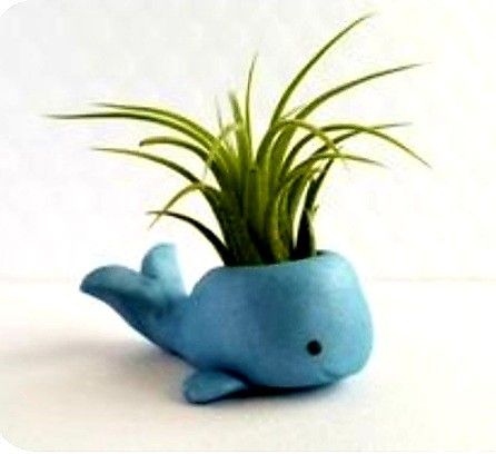 Whale Cute, Whale Planter, Air Plant Garden, Air Plants Decor, Whale Decor, Whale Gift, Animal Planters, Plant Gift, Tanah Liat