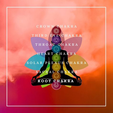 Root chakra asanas focus on grounding and stability, help to connect with the earth and enhance feelings of security #rootchakra #rootchakraasanas #yoga Solar Plexus Chakra, Sacral Chakra, Third Eye Chakra, Throat Chakra, Root Chakra, Crown Chakra, Heart Chakra, Third Eye, Plexus Products