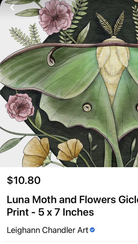 Moth Artwork, Luna Moths, Moth Tattoo Design, Cute Moth, Moth Art, Live Life To The Fullest, Rare Species, Luna Moth, Whimsical Illustration