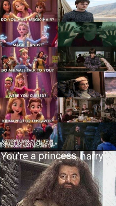 Your a princess 👸 Harry You're A Princess Harry, Your A Princess Harry, Your A Princess Harry Potter, Disney Princess Hogwarts Houses, Harry Potter Is A Princess, Harry Your A Princess, Harry Potter Memes Funny So True Clean, Harry Potter Comics Funny, Harry Potter Memes Funny