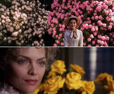 The age of innocence Innocence Aesthetic, Innocence Movie, The Age Of Innocence, Daniel Day, Day Lewis, Christian Dior Haute Couture, Film Images, 90s Movies, Michelle Pfeiffer