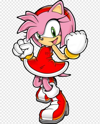 Sonic The Fighters, Amy Rose Hedgehog, Rosy The Rascal, Big The Cat, Hedgehog Drawing, Sonic Underground, Sonic Unleashed, Sonic Adventure 2, Amy The Hedgehog