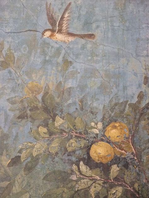 Livia Drusilla, Roman Fresco, Roman Painting, Imperiul Roman, Emperor Augustus, Ancient Roman Art, Istoria Artei, Ancient Paintings, Art Ancien