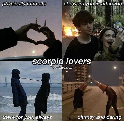 Scorpio Things, Zodiac Mind Scorpio, Scorpio Aesthetic, Scorpio Funny, Zodiac Quotes Scorpio, Scorpio Star Sign, Astrology Scorpio, Pisces And Scorpio, Zodiac Characters