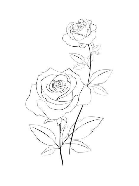 Rose Outline Drawing, Rose Doodle, Rose Drawing Simple, Rose Line Art, Rose Outline, Line Art Flowers, Ink Doodles, Flower Line Drawings, Line Art Drawing