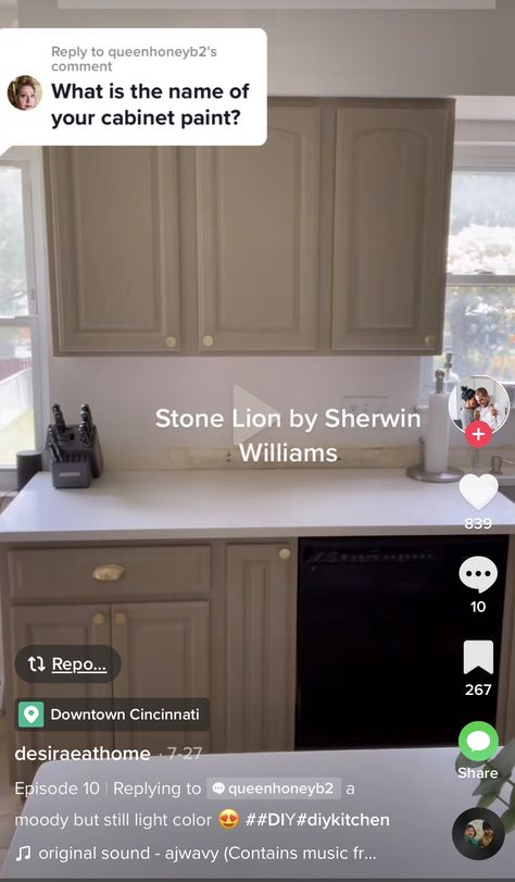 Brown Cabinets Kitchen Paint, Cocoa Kitchen Cabinets, Brown Cabinet Paint Colors, Stone Lion Sherwin Williams Cabinets, Dark Tan Kitchen Cabinets, Clay Kitchen Cabinets, Tan Painted Kitchen Cabinets, Brown Painted Cabinets, Bathrooms 2024