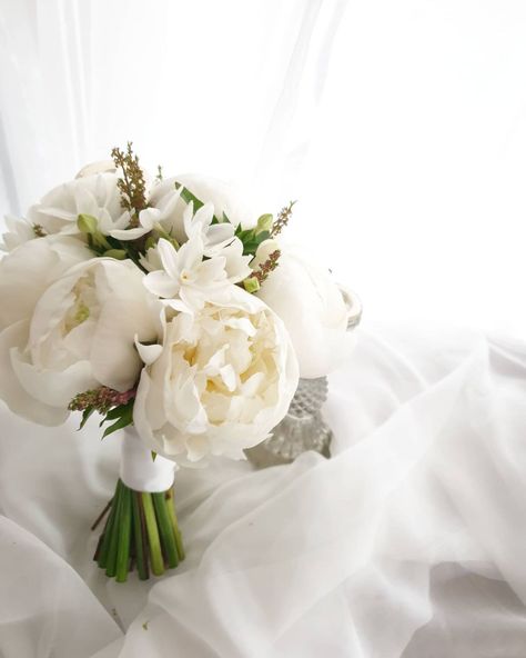 White Peony Bouquet Wedding, Oahu Elopement, White Peonies Bouquet, White Wedding Decorations, Bridal Bouquet Peonies, Peony Bouquet Wedding, Peony Bouquet, Bridal Bouquet Flowers, Peony Wedding