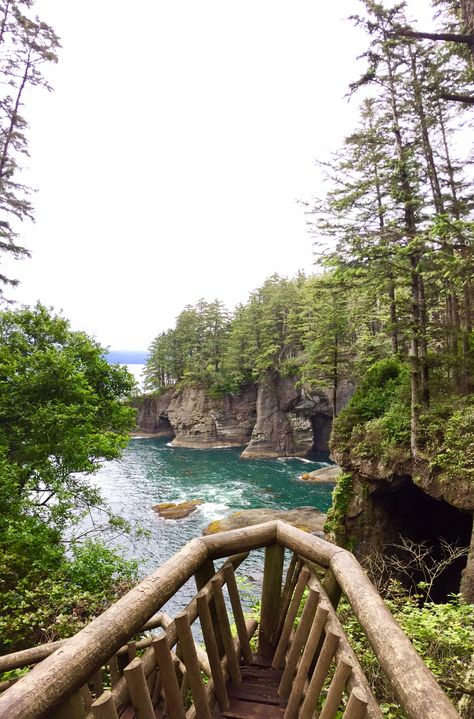 Cape Flattery, Washington Coast, Washington Coast Photography, Washington Mountains Aesthetic, Washington Aesthetic, Washington State Forest Aesthetic, Cape Flattery Washington, Cascades Washington, Washington Travel