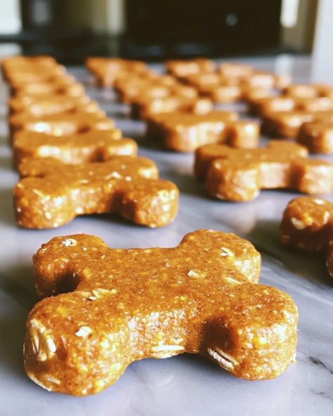 Carrot and Pumpkin Dog Treats Healthy Homemade Recipe for Happy Pups - mydogrecipe Dog Cookie Recipes, Carrot Dogs, Easy Dog Treats, Healthy Dog Treats Homemade, Doggie Treats, Pumpkin Dog Treats, Diy Dog Treats, Dog Bakery, Pumpkin Treat