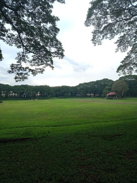 📍 sunken garden up diliman (11/11/2022) Sunken Garden Up Diliman, Up Diliman, Sunken Garden, Digital Diary, 11 11, Quick Saves