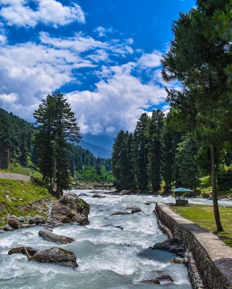 Pehelgam Kashmir, Pahalgam Kashmir Photography, Pahalgam Kashmir Aesthetic, Kashmir Snapchat Story, Kashmir Photography, Kashmir Aesthetic, Pahalgam Kashmir, Kashmir Tourism, Kashmir Trip