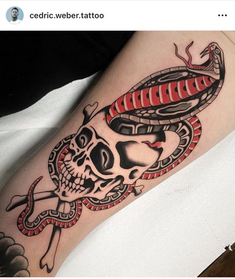 Snake Traditional Tattoo, Tattoo Cobra, Rattlesnake Tattoo, Ant Tattoo, Backpiece Tattoo, Cobra Tattoo, Skull Snake, Traditional Tattoo Design, Traditional Tattoo Flash