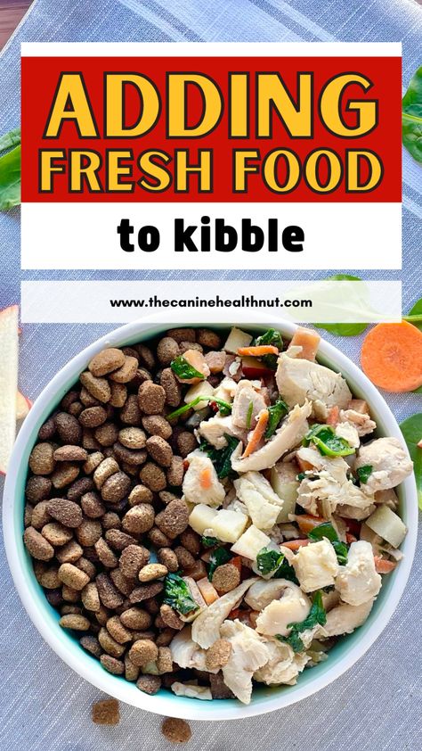 People Food For Dogs, Dog Food Enrichment Ideas, Dog Food Enrichment, Homemade Dog Food Recipes Vet Approved Large Dog, Home Made Puppy Food, Fresh Dog Food Recipes For Large Dogs, Canine Nutrition, Fresh Food Diet, Human Food For Dogs