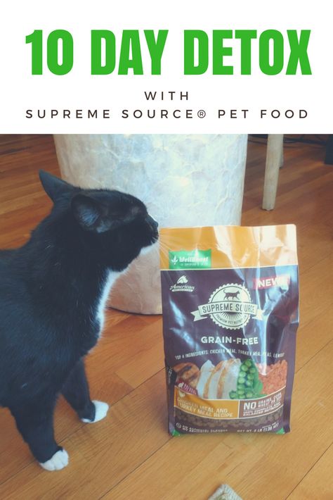 10-day Detox with Supreme Source® Pet Food  Evil Skippy is excited to try the 10-day detox with Supreme Source® pet food. This Superfood Switch will focus on digestive, emotional and physical health benefits. #AD Check out my latest blog post by clicking VISIT to learn more about this cleanse! #SUPERFOODSSWITCH  #IC Grain Free Snacks, 10 Day Detox, Ambassador Program, Free Snacks, Healthy Pets, Summer Road Trip, Pet Food, Physical Health, Grain Free