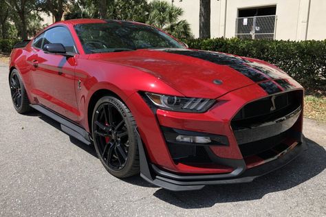 2020 Ford Mustang Shelby GT500 (Rapid Red, supercharged 5.2L V8, 7-speed DCT) Ford Mustang Shelby Gt500 2023, New Tesla Roadster, Red Mustang, Cool Truck Accessories, Mustang Gt500, Ford Mustang Shelby Gt500, Black Hood, Ford Mustang Car, Shelby Gt