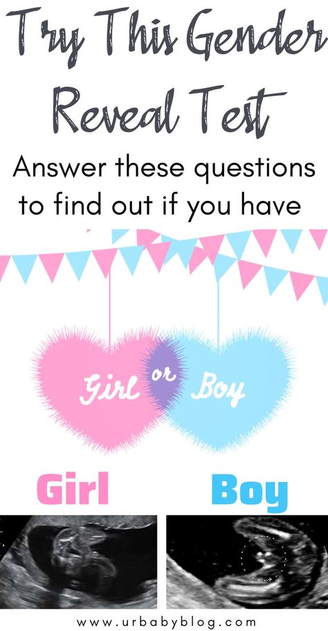 Try This Gender reveal Test. Answer these questions to find out if you have a boy or a girl #boyorgirl #genderreveal #pregnant #pregnancy #babysex Gender Reveal Couple Only, Ultrasound Pictures Gender, Baby Gender Ultrasound, Ultrasound Gender Prediction, Gender Myths, Boy Or Girl Prediction, Pregnancy Quiz, Boy Ultrasound, Sibling Gender Reveal