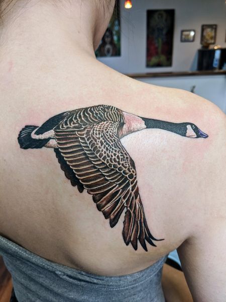 Ruffed Grouse Tattoo, Canadian Goose Tattoo, Wild Geese Tattoo, Geese Tattoo, Goose Tattoos, Duck Hunting Tattoos, America Tattoo, Goose Tattoo, Duck Tattoos