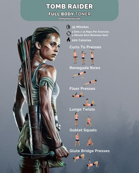 How To Build Muscle For Women, Strong Women Workout, Women Muscle Building, Seated Hamstring Stretch, Tricep Stretch, How To Gain Muscle, Dumbbell Bicep Curl, Fighter Workout, Workout Planner