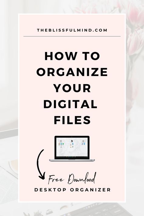 How To Organize Computer Files, Organizing Computer Files, How To Organize Digital Files, Organizing Digital Files, Organize Files Computer, Organize Digital Files, Computer Organization Desktop, Organize Computer Desktop, Files Organization