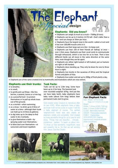 FREE Elephant article for kids giving glory to God as Creator; plus links to FREE colouring pages, puzzles, crafts and creative ideas to make it lots of fun for kids | https://papergiftsforestefany.wordpress.com/ #freeprintable  #printables #kids #forkids #article #articleforkids #elephant Endangered Animals Activities, Animal Paper Craft, Paper Craft Ideas For Kids, Articles For Kids, All About Elephants, Types Of Robots, Elephant Facts, Paper Bird, Elephant Poster