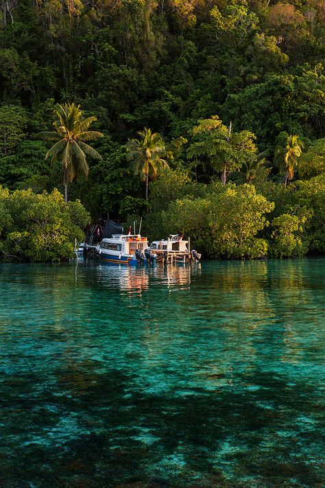 Raja Ampat Islands, West Papua, Raja Ampat, Oceania Travel, Vacation Goals, Cities In Europe, Vietnam Travel, India Travel, Travel Inspo