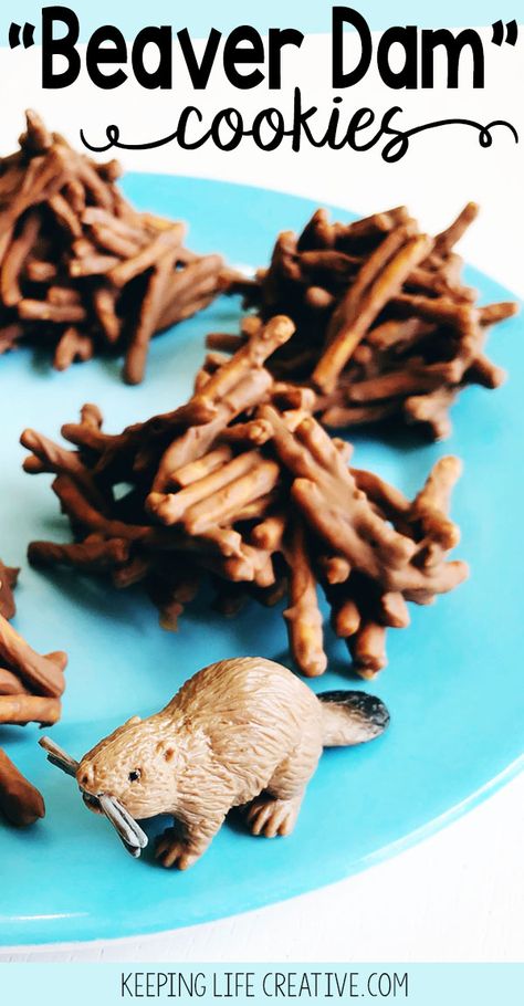 Beaver Dam Cookies!  Make these easy, chocolate no-bake cookies for a snack after a river-themed storytime, nature walk, or really anytime! Beaver Lodge, Beaver Scouts, Theme Snack, Animal Snacks, Chocolate No Bake Cookies, Beaver Dam, Baking Recipes Cookies, Nature Walk, Bake Cookies