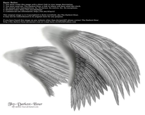 Angel Wings Png, Angel Wings Drawing, Wings Png, Angel Wings Art, Profile Drawing, Darkest Hour, Feather Angel Wings, Wings Drawing, Golden Wings