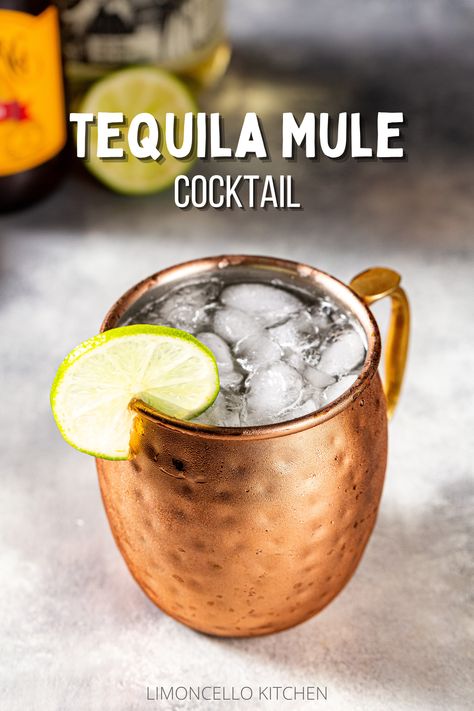 Tequila Mule, Cocktail With Tequila, Gin Buck, Mexican Mule, Mule Drink, Ginger Beer Cocktail, Tequila Cocktail, Mule Cocktail, Easy Cocktail