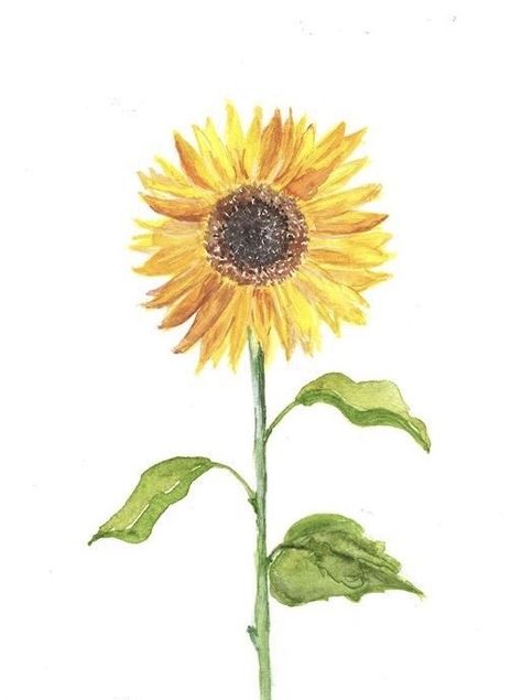 Sunflower Watercolor Painting, Watercolor Supplies, Sunflower Drawing, Sweet William, Wall Bathroom, Sunflower Wallpaper, Watercolor Prints, Sunflower Art, Art Minimaliste