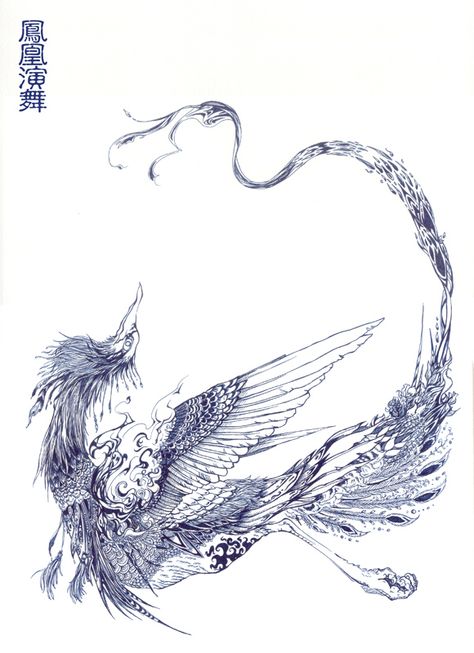 Phoenix Chinese Art, Chinese Phoenix Drawing, Chinese Phoenix Illustration, Chinese Bird Tattoo, Chinese Mythology Tattoo, Chinese Phoenix Tattoo, Phoenix Illustration, Phoenix Chinese, Japanese Mythical Creatures