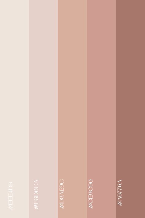 I like this color scheme Neutral And Pink Aesthetic, Aesthetic Room Colours, Neutral Pallete Color Code, Blush Neutral Color Palette, Pink Pallete Color Pastel, Neutrals And Pink Color Palette, Color Palette Feminine Neutral, Neutral Blush Color Palette, Shades Of Neutral Colors