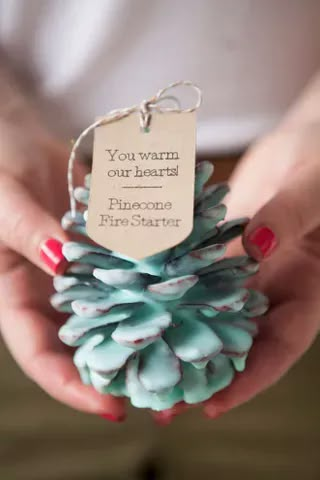 Learn how to make your own Pinecone Fire Starters! Joululahjat Diy, Pinecone Fire Starters, Hantverk Diy, Winter Wedding Favors, Soya Mumu, Diy Pinecone, Skirt Diy, Winter Wedding Decorations, Cones Crafts