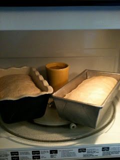 Proof Bread, Proofing Bread, Microwave Bread, Bread Proofer, Bread Substitute, Hot Bread, Breads & Buns, Bun In The Oven, Single Oven