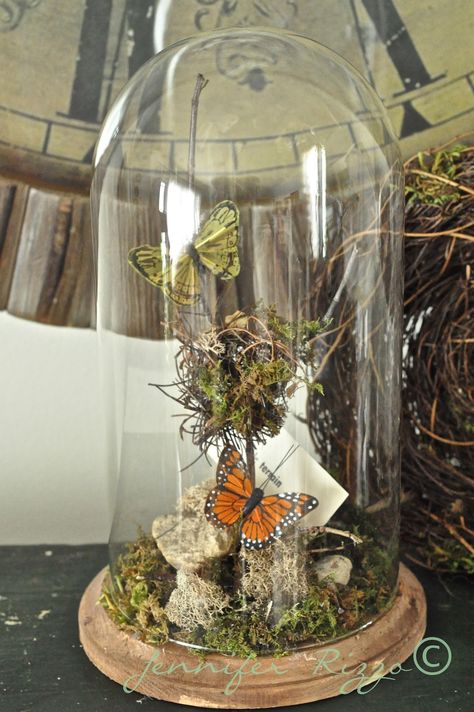 Jennifer Rizzo: Make a faux terrarium out of a thrift store clock case.... Faux Terrarium, Glass Cloche Decor, Cloche Decor, Cloche Domes, Diy Terrarium, Deco Nature, Old Clocks, Glass Cloche, Terrarium Diy