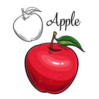 Shorts Inspiration, Apple Drawing, Vegetable Crafts, Vegetable Drawing, Apple Illustration, Fruit Health, Fruit List, Food Doodles, Fruit Icons