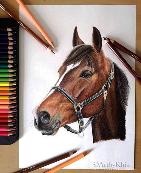 Post Pencil Colour Painting, Drawing Dragon, Pencil Inspiration, Horse Art Drawing, Color Pencil Sketch, Prismacolor Art, Colored Pencil Artwork, Beautiful Horse, Horse Drawings