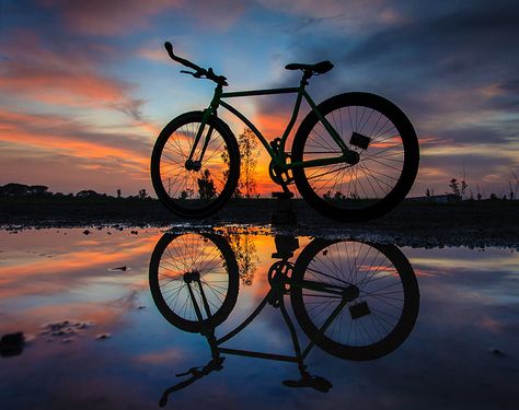 Bike Pictures Photo Ideas, Bike Logos Design, Cycle Photo, Mountain Biking Photography, Bicycle Photography, Bike Pictures, Cycling Photography, Silhouette Photography, Bike Poster