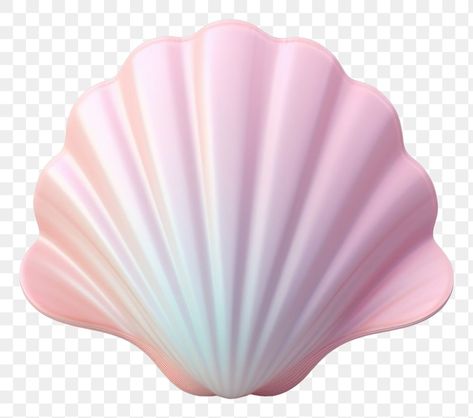 Seashell Png, Shell Png, Sketching Inspiration, Pink Seashell, Shapes Images, Mermaid Shell, Mermaid Theme Party, Hearts Pattern, 3d Heart