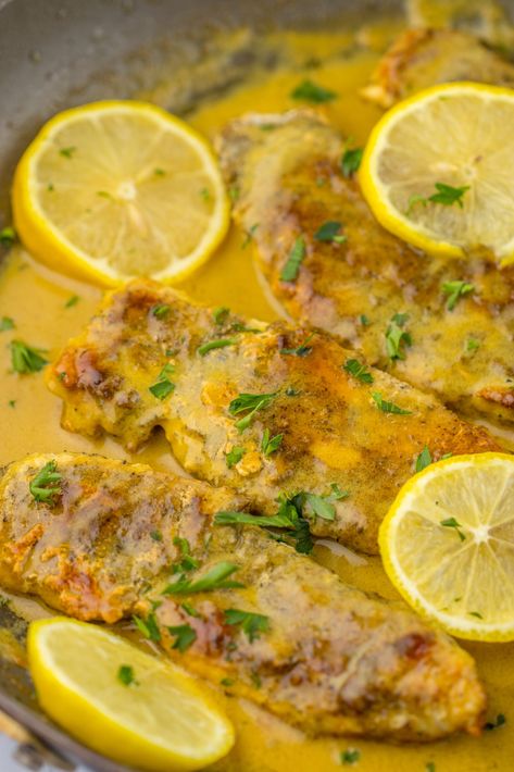 Chicken With Lemon Butter Sauce Lemon Butter Sauce For Chicken, Chicken With Lemon Butter Sauce, Lemon Sauce For Chicken, Dill Chicken, Butter Chicken Sauce, Chicken With Lemon, Delicious Chicken Dinners, Lemon Butter Chicken, Wine Butter