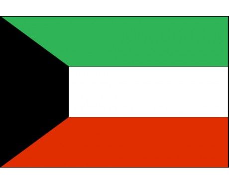 Kuwait Flag Kuwait Flag, Greyscale Colour, Kuwait National Day, World Country Flags, Middle Eastern History, Persian Gulf, African Flag, Western Asia, Arab World