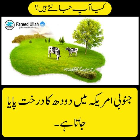 Interesting Facts in Urdu/Hindi
#factsinhindi #FareedHotkani #amazingfacts #interestingfacts #facts Interesting Facts In Urdu, Amazing Facts In Urdu, Urdu Facts, Facts In Urdu, Common Sense Questions, History Of Pakistan, Facts About Humans, 10 Interesting Facts, True Interesting Facts