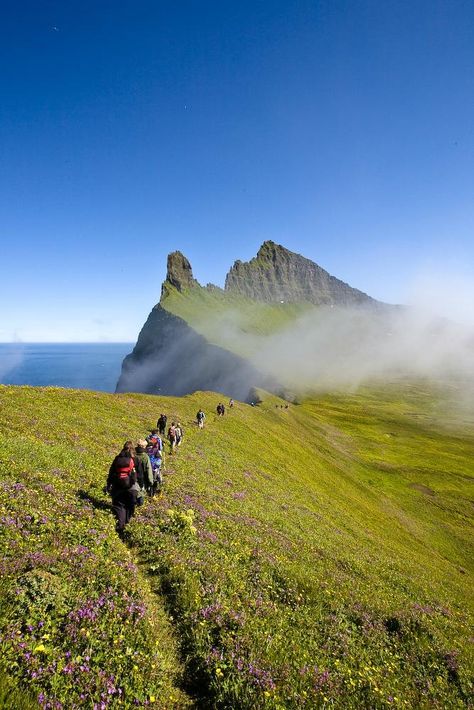 West Tours: Hornvik - Hike to the King and Queen of Cliffs. - See 63 traveler reviews, 79 candid photos, and great deals for Isafjordur, Iceland, at TripAdvisor. Isafjordur Iceland, Voyage Europe, Iceland Travel, Reykjavik, Pretty Places, Oh The Places Youll Go, Beautiful Scenery, Outdoor Adventure, Where To Go