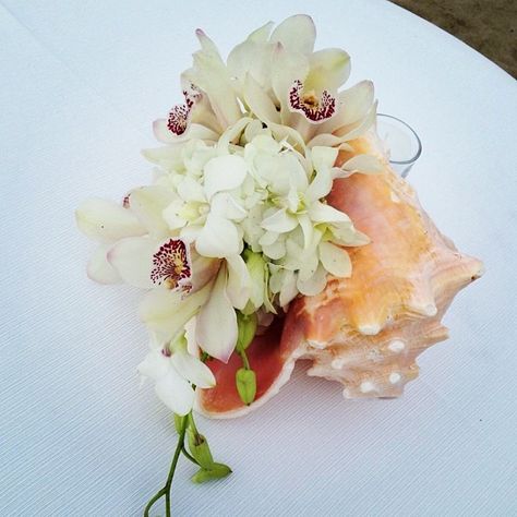 Conch Shell Cocktail Arrangement - Flowers by Heidi Centerpiece Floral Arrangements, Floral Arrangements Ideas, Watercolor Cacti, Succulent Centerpiece, Succulent Bouquet Wedding, Beach Wedding Locations, Beach Wedding Decorations Reception, Succulent Bowls, Beach Wedding Centerpieces