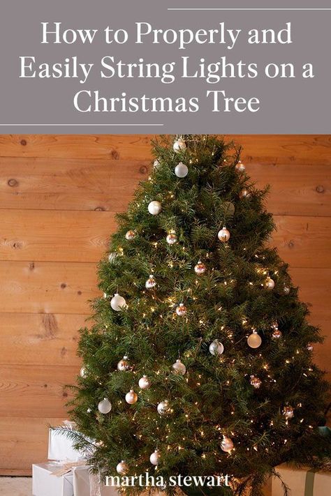 Follow these Christmas tree decorating tips to ensure the best and safest way to apply Christmas lights on your holiday tree this year. Plus, why wrapping the lights around your tree a certain way will help you easily remove them once the holiday ends. #christmas #holidayideas #christmasideas #wintertodo #marthastewart Stringing Lights On A Tree, Christmas Lights For Tree, Best Way To Light A Christmas Tree, Best Lights For Christmas Tree, Stringing Lights On A Christmas Tree, Globe Lights On Christmas Tree, How To Add Lights To Christmas Tree, How To String Christmas Lights On Tree, C9 Christmas Lights On Tree