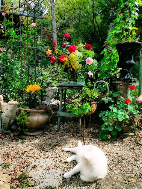 Messy Garden Aesthetic, Messy Garden, Garden Aesthetic, Vintage Garden Decor, Container Garden, Patio Spaces, Vintage Garden, Plant Holder, Plant Holders