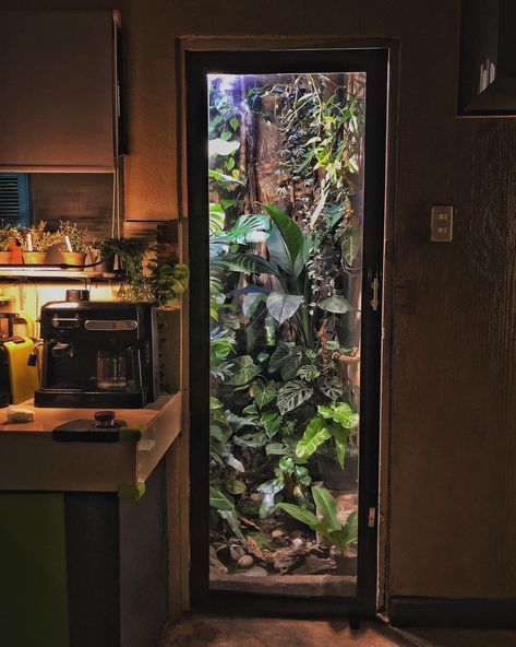 Indoor Terrarium Room, Terrarium Interior Design, Reptile Room Aesthetic, Cabinet Terrarium, Cat Setup, Bioactive Terrarium, Room Aesthetic Dark, Vivarium Ideas, Gecko Terrarium